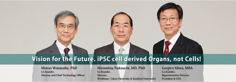 Vision for the Future. iPSC cell derived Organs, not Cells!